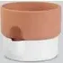 Oasis 13cm Self Watering Planter - White, Terracotta