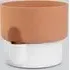 Oasis 24.5cm Self Watering Planter - White, Terracotta