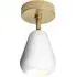 Anoli Spot Surface Ceiling Wall Light - Nordic Gold