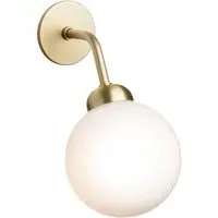 Apiales Hard Wired Wall Light - Brushed Brass, Glass