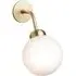 Apiales Hard Wired Wall Light - Brushed Brass, Glass