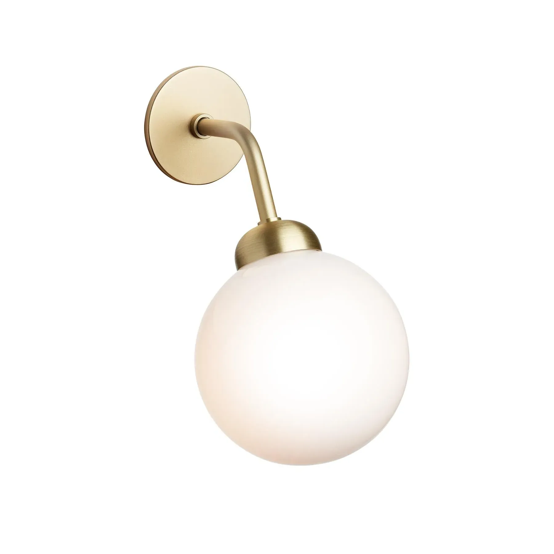 Apiales Hard Wired Wall Light - Satin Black, Glass