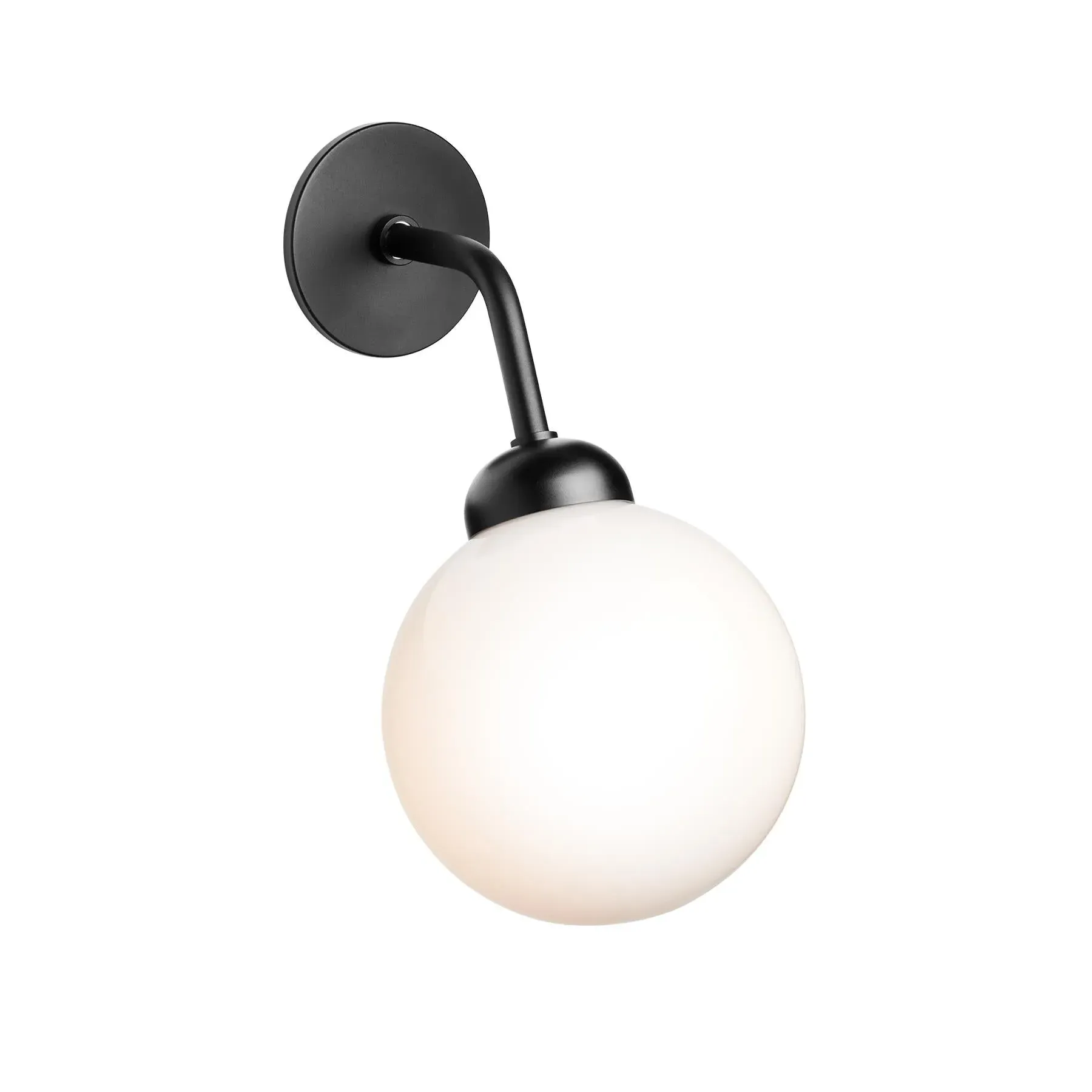 Apiales Hard Wired Wall Light - Satin Black, Glass