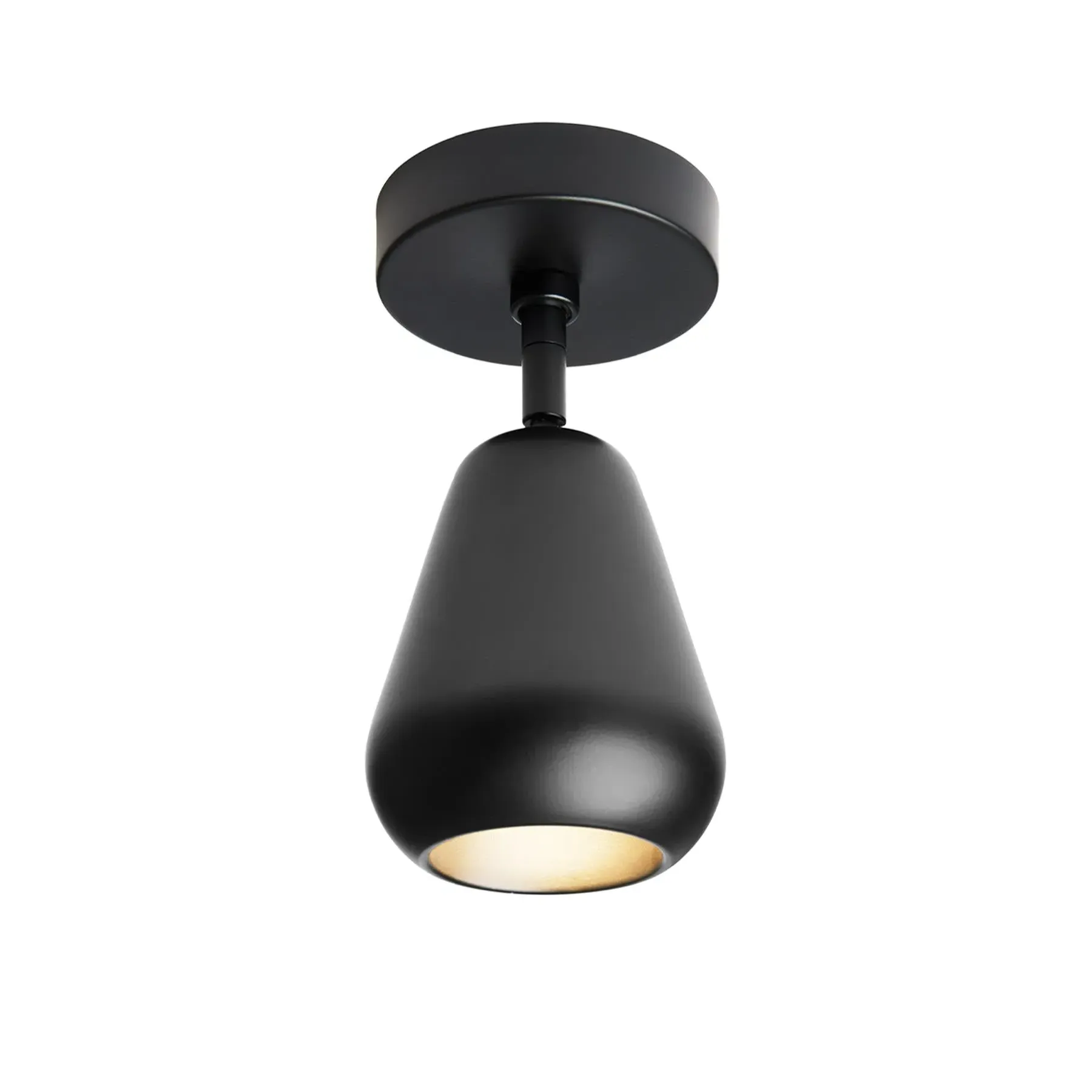 Spot Surface Ceiling Light - Black, Metal
