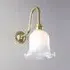 Tulip Wall Light - Polished Brass, Opal Glass