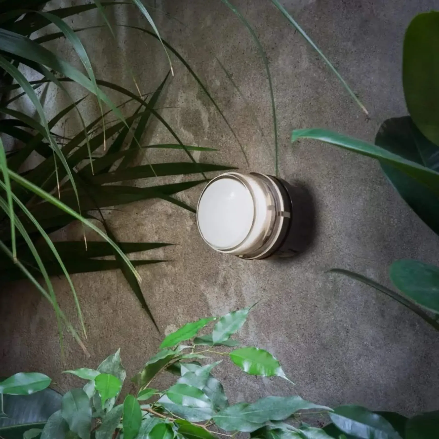 Outdoor LED Light with Fresnel Lens - White, Metal