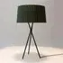 Tripod Table Lamp with Ribbon Shade - Green