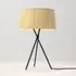 Tripod Table Lamp with Ribbon Shade - Natural