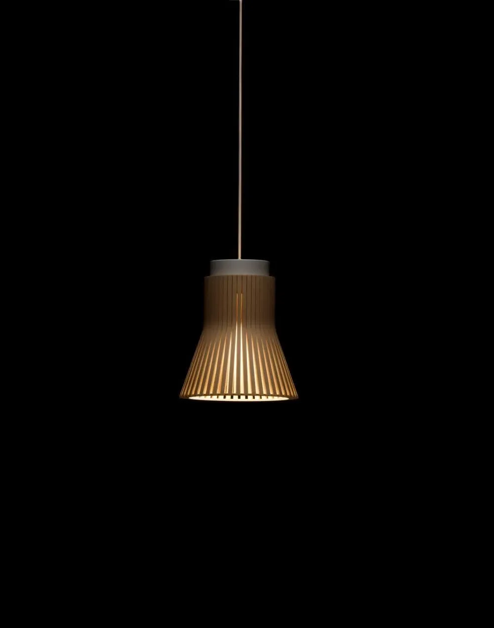 Compact Pendant Light - Walnut, Birch