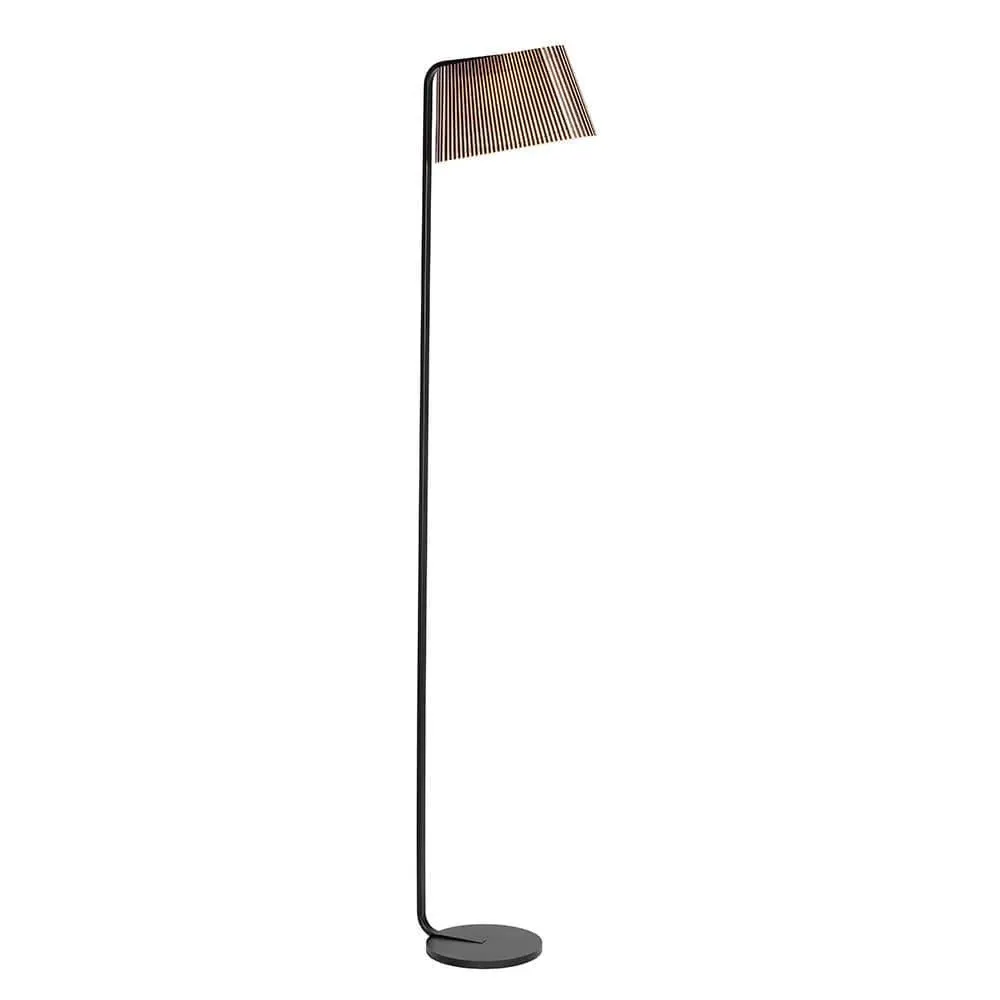 Floor Lamp with Slender Design - Black, Birch image