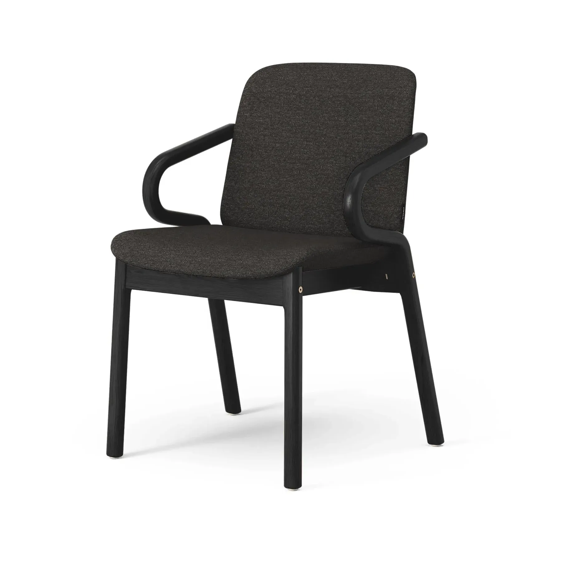 Armchair with Cold Foam Padding - Black Ash image