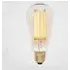 Tinted Squirrel Cage LED Light Bulb - E27 Fitting