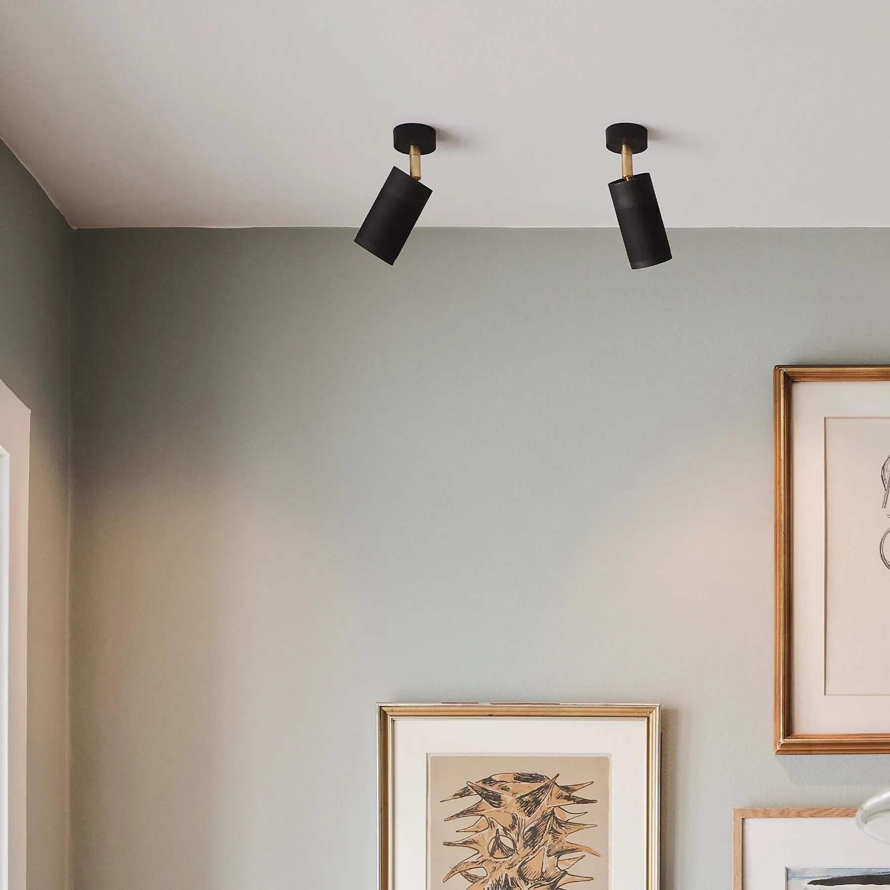 Canopy Ceiling Light Adjustable - Black, Brass