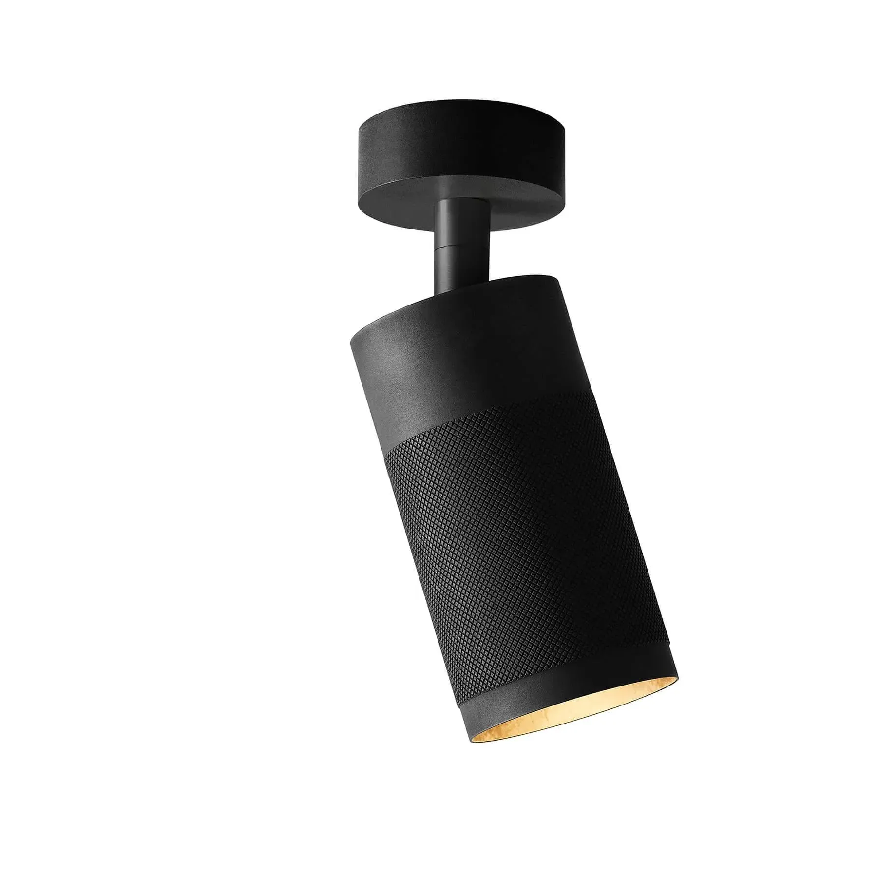 Canopy Ceiling Light Adjustable - Black, Brass