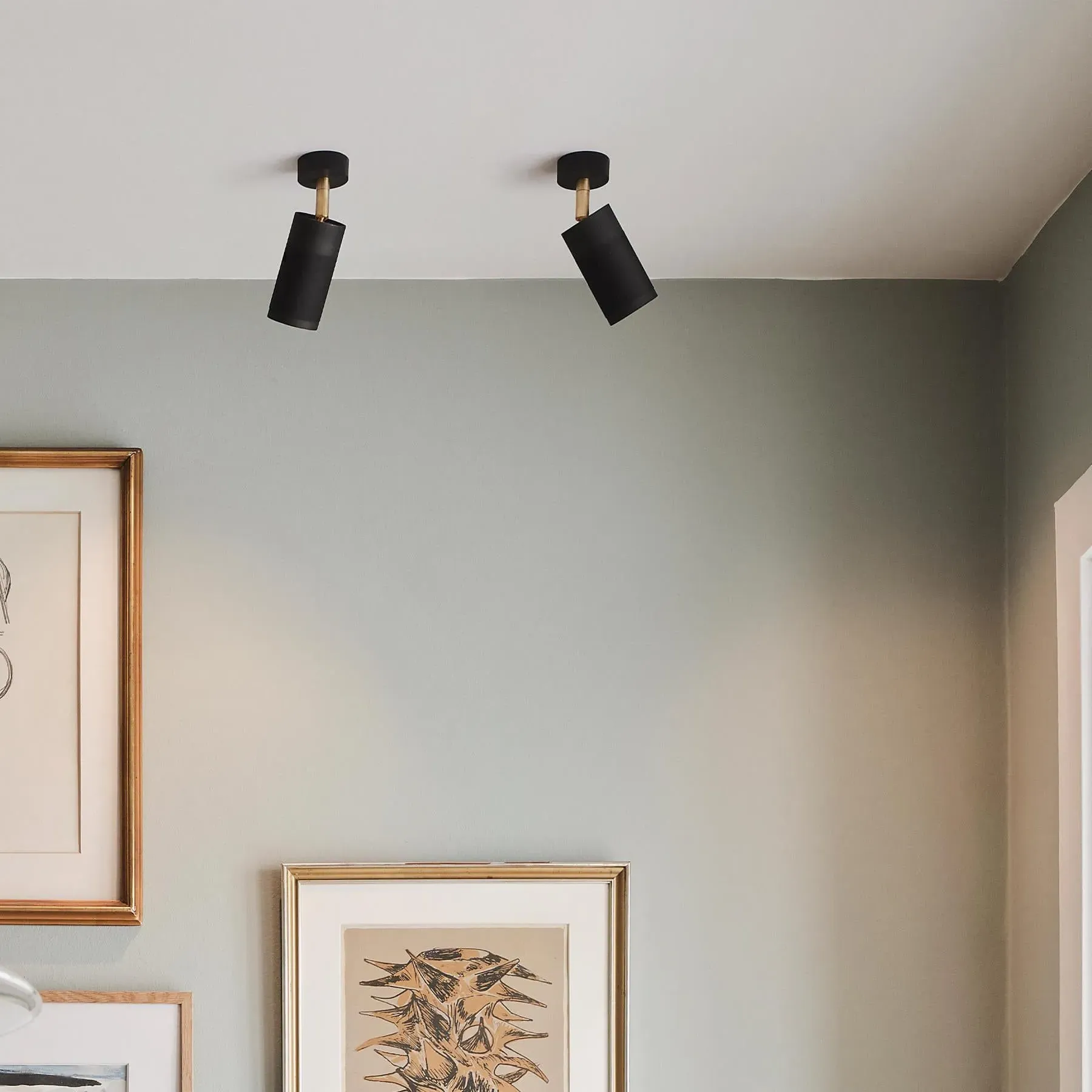 Canopy Ceiling Light Adjustable - Brown, Brass