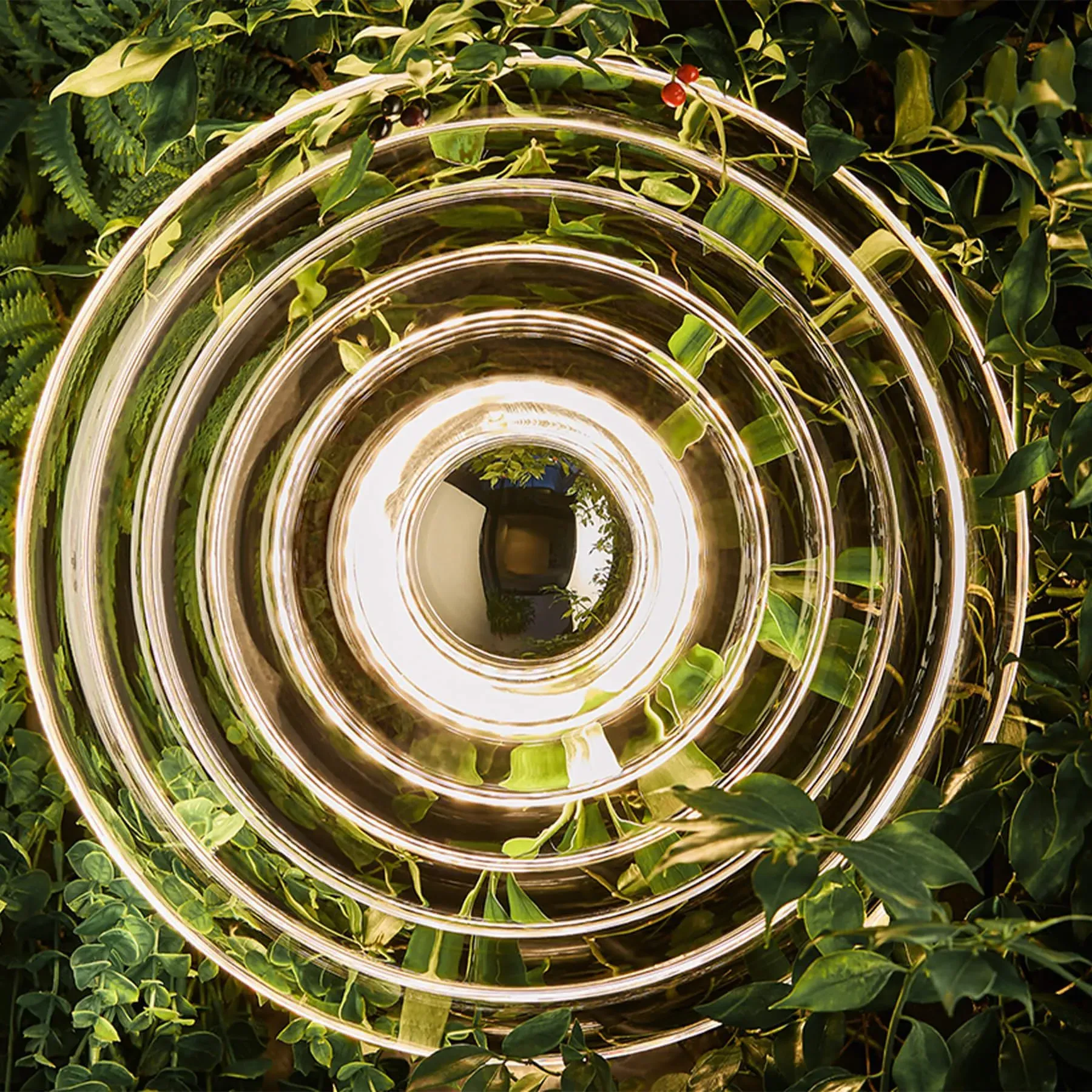 Press Mini Surface Light - Glass