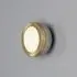 Small Wall Ceiling Lamp - Brushed Brass, Metal