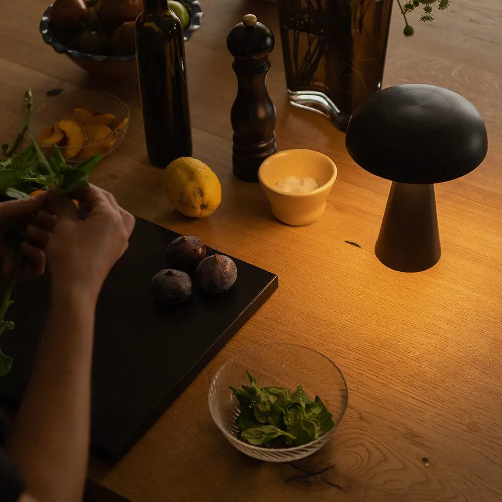 SC53 Como Portable Rechargeable Table Lamp - Bronze