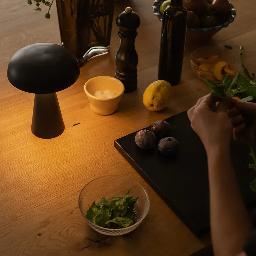 SC53 Como Portable Rechargeable Table Lamp - Red Brown