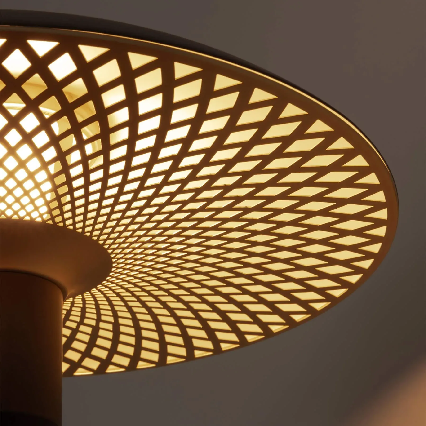 Manta Ray Table Lamp - Black, Steel