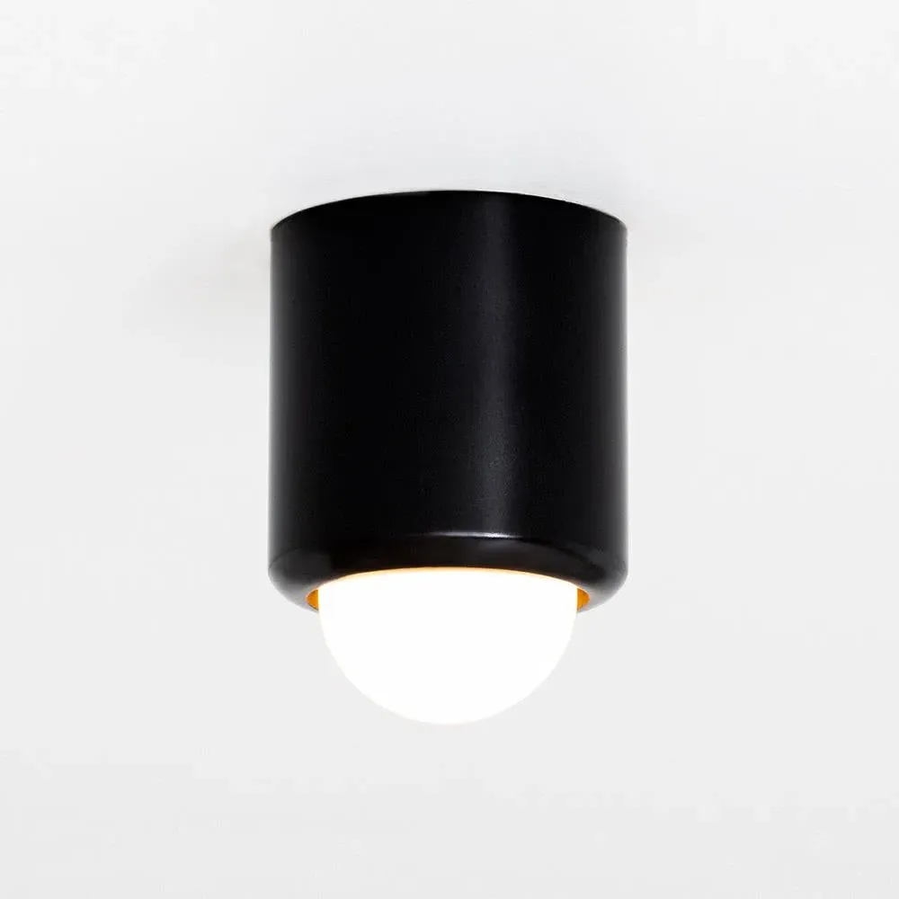 Ceiling/Wall Light - Brushed Aluminium