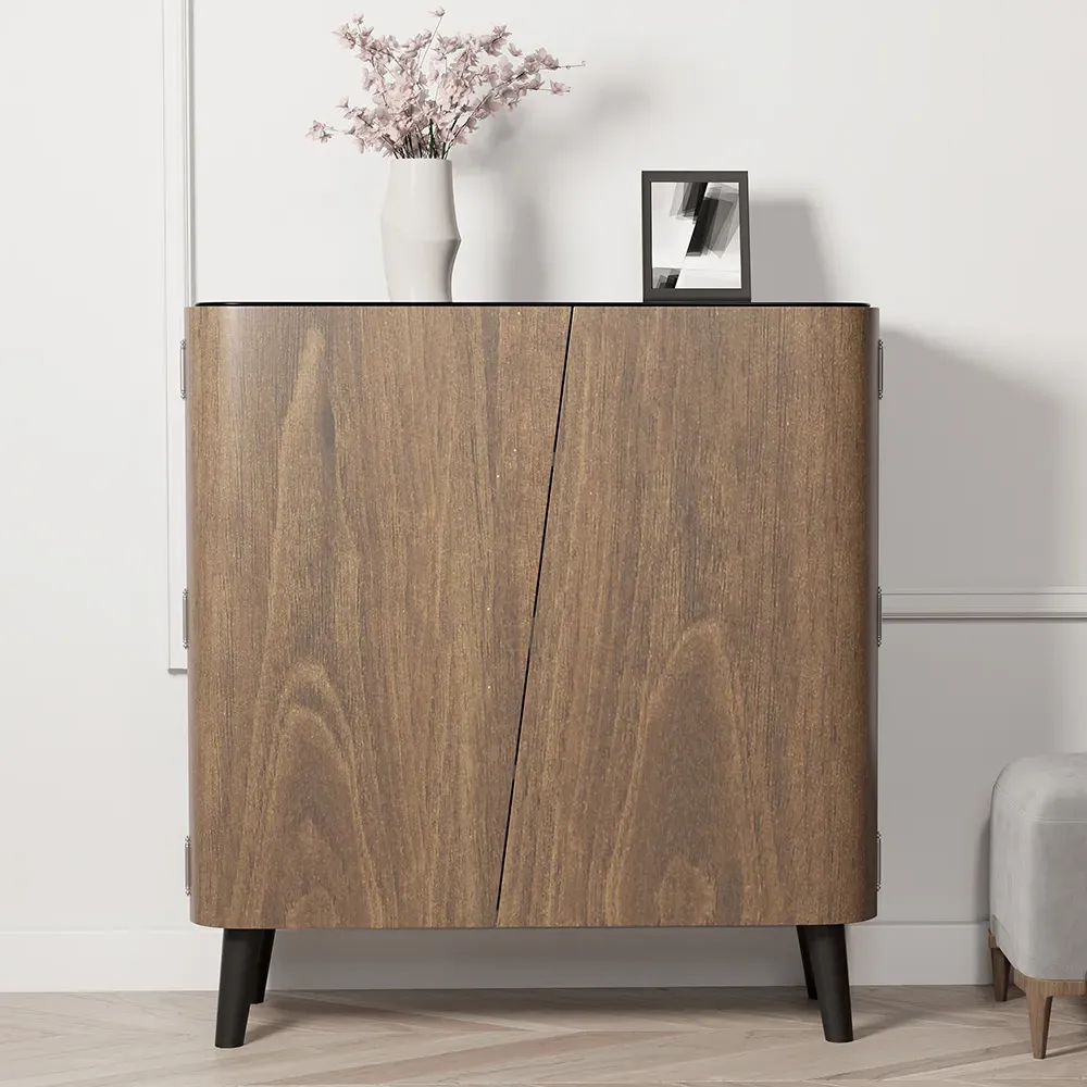 Takagi 2-Door Hallway Shoe Storage Cabinet - Black, MDF product