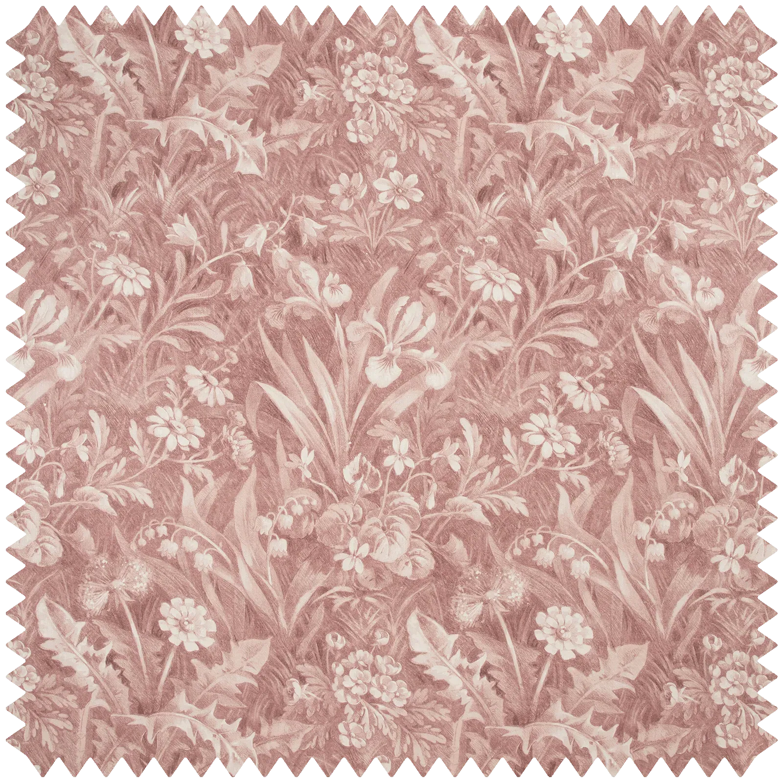 Beltane Hemp Fabric - Cosmos product