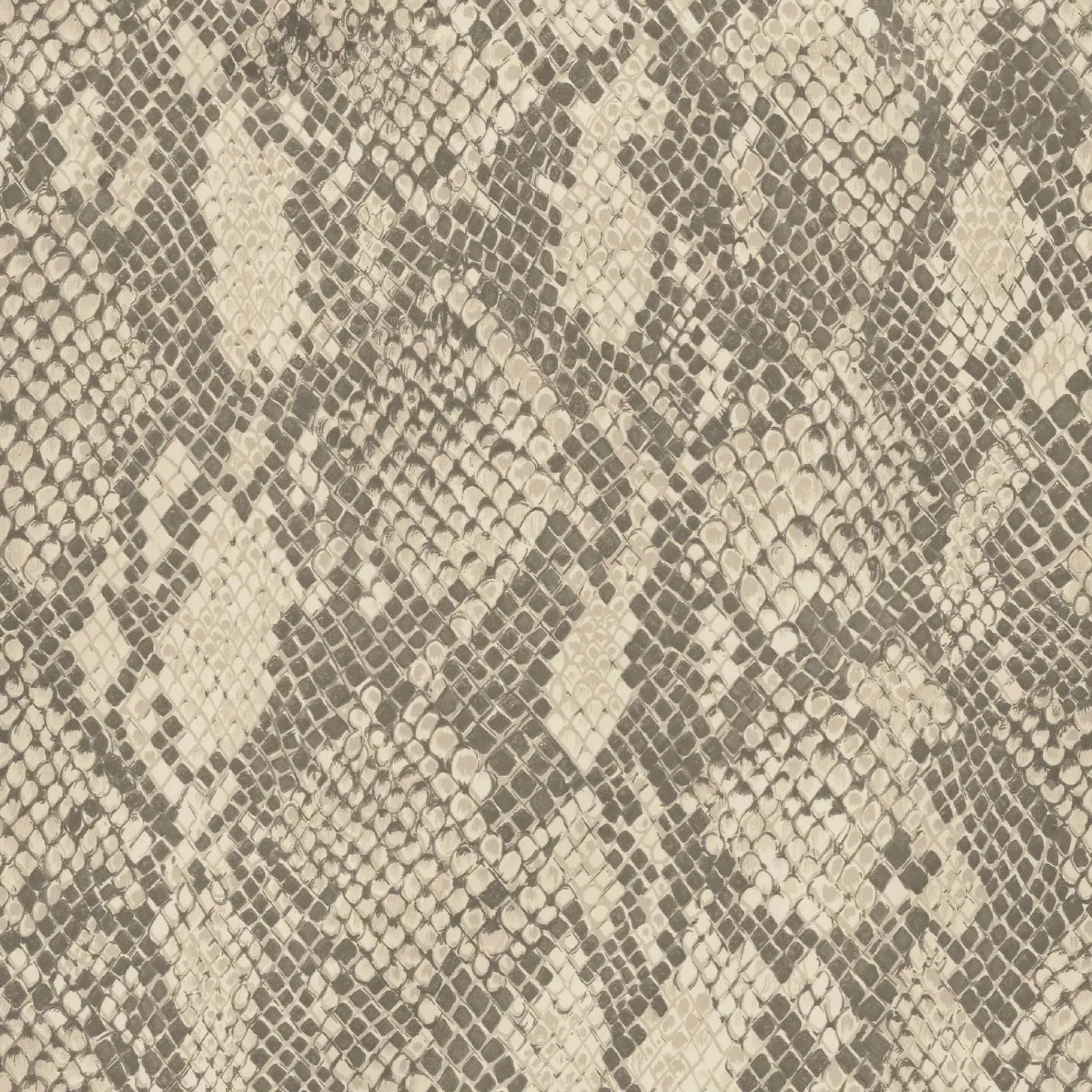 COBRA Wallpaper - Phlox product