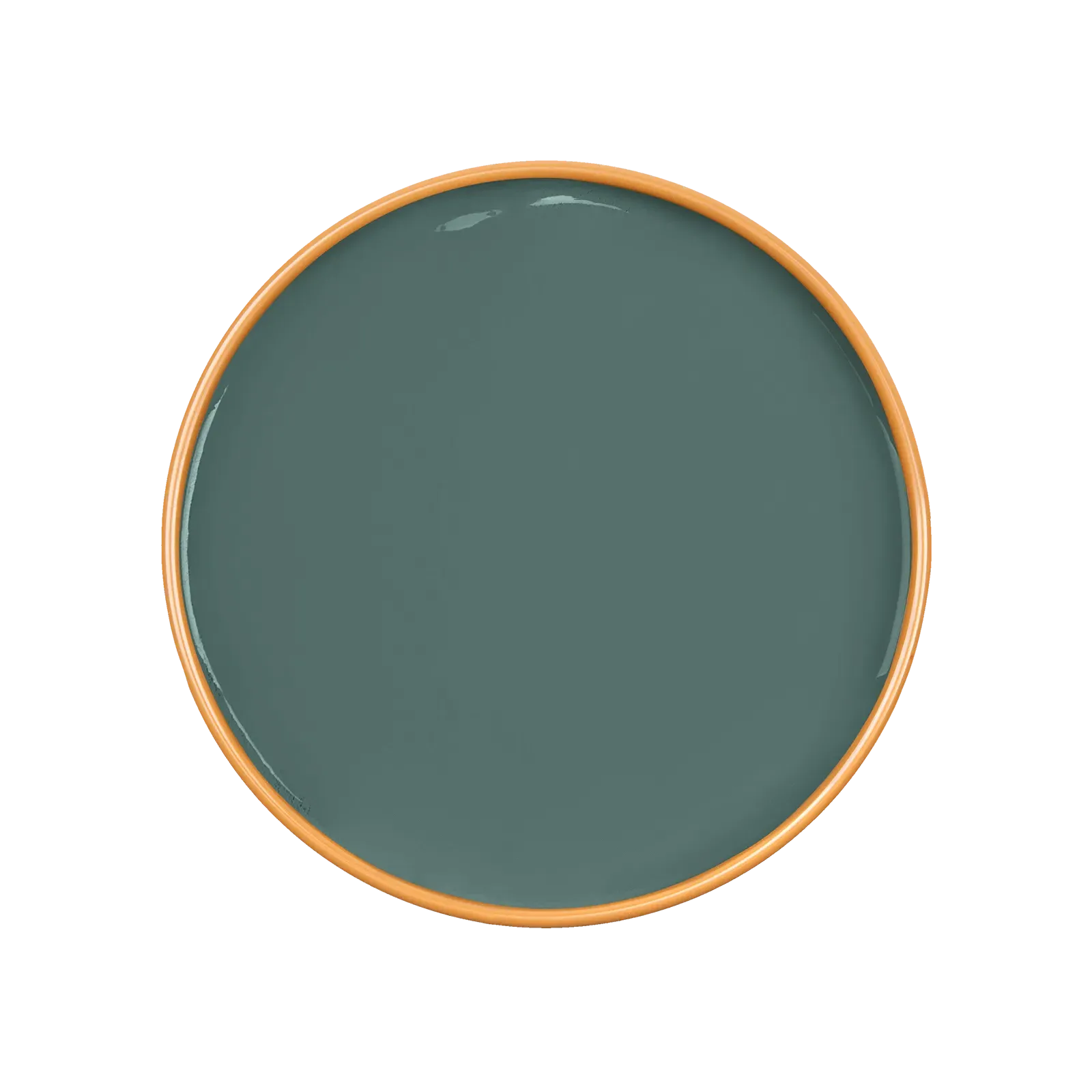 Euphorbia Wall Paint - Teal product