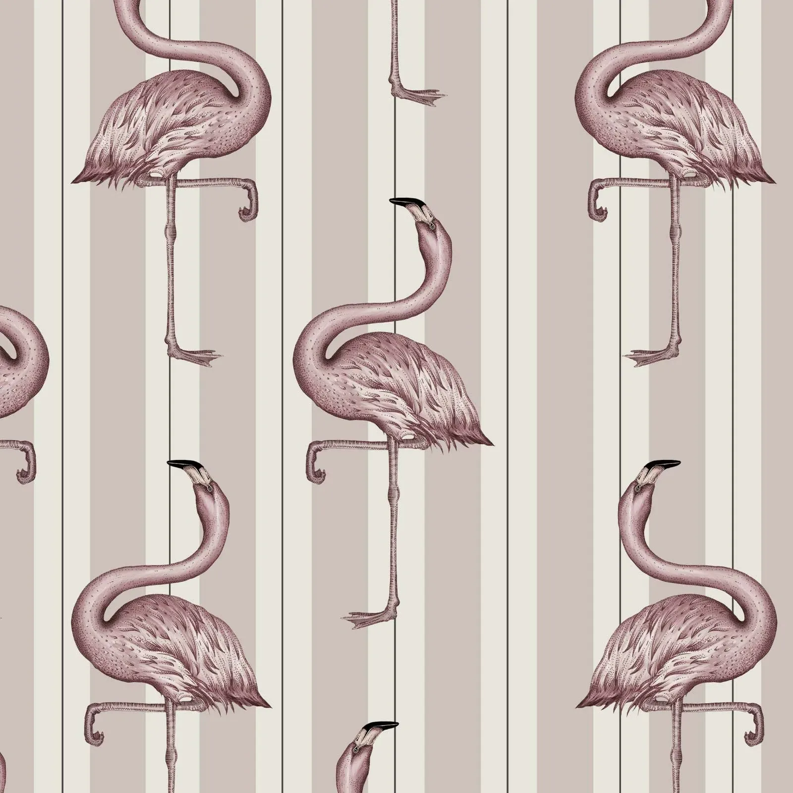 Flamboyance Wallpaper Sample - Off White & Macaroon Pink product