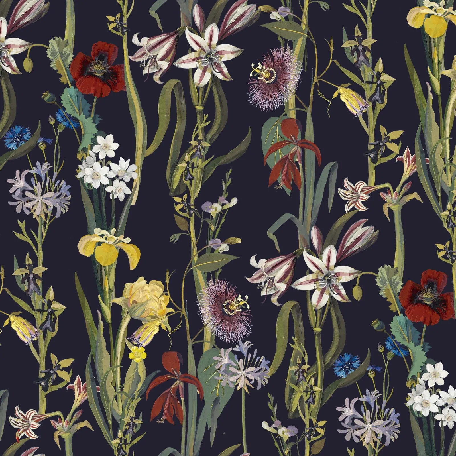 Flora Delanica Wallpaper Sample - Midnight product