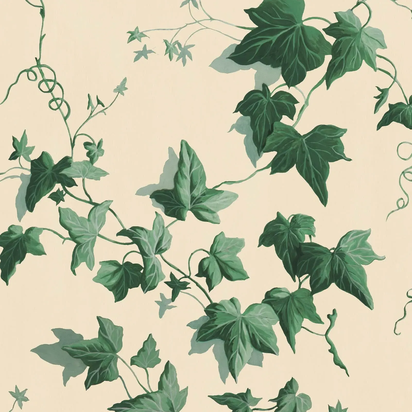 Hedera Sample Wallpaper - Viridian product