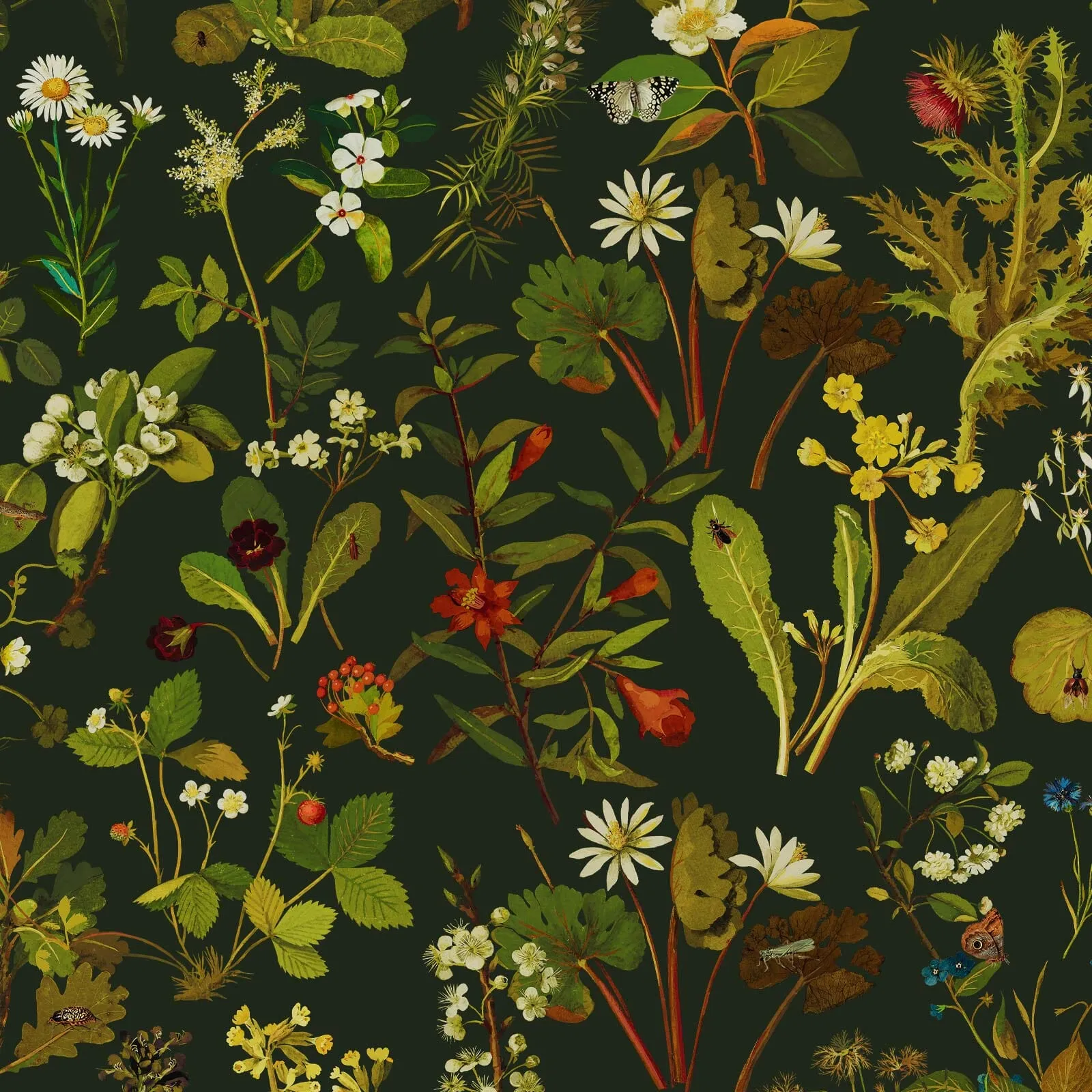 Herbarium Wallpaper Sample - Midnight product