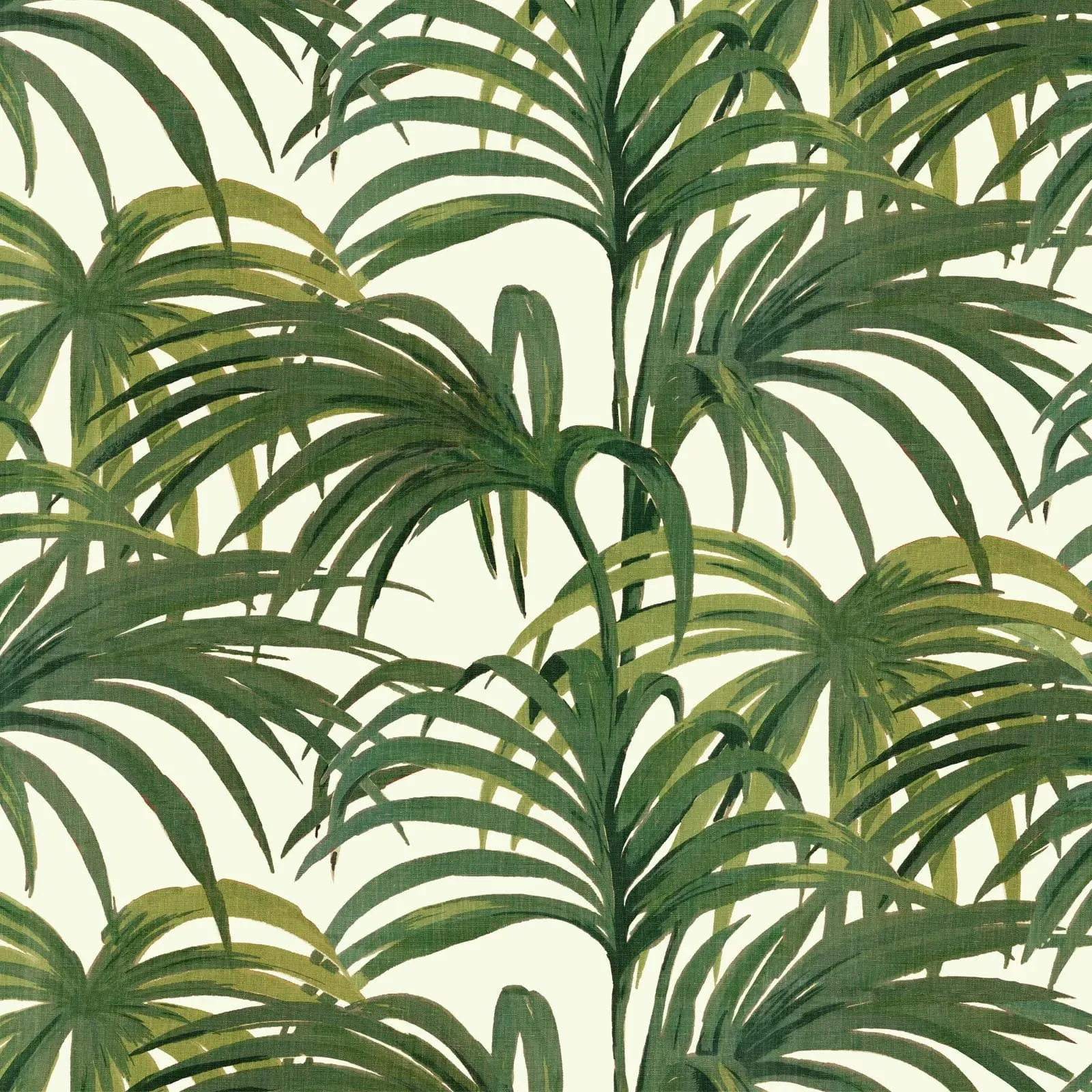 Palmeral Wallpaper Sample - Off White & Green product