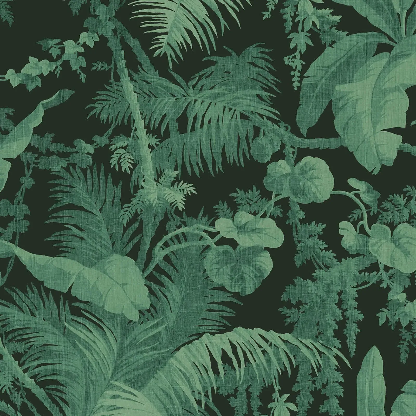 Pampas Wallpaper - Noir product