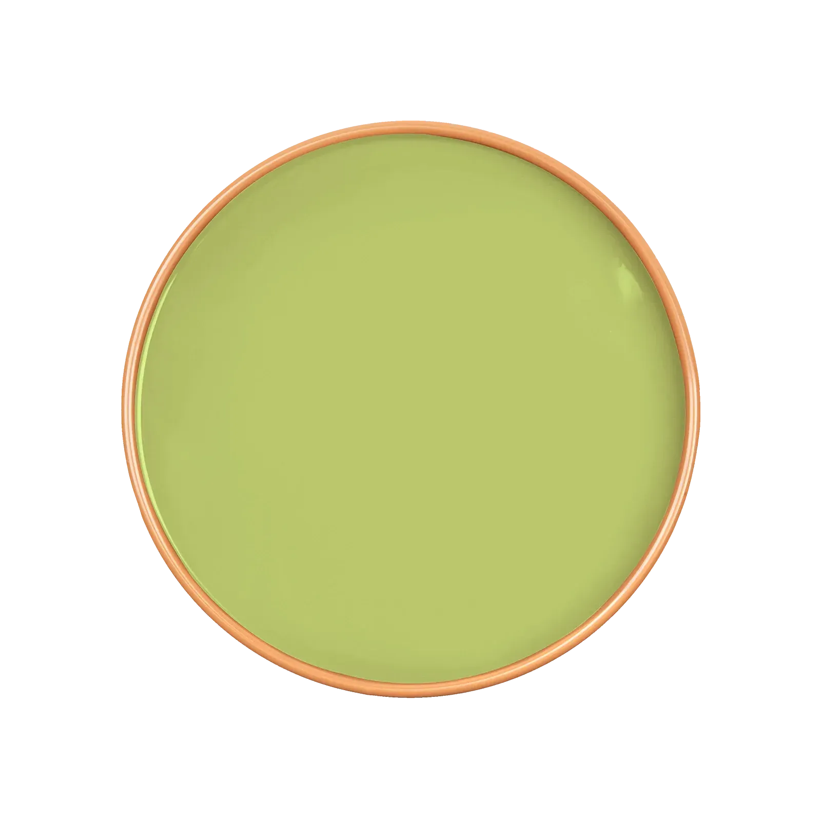 Petunia Wall Paint - Light Green product