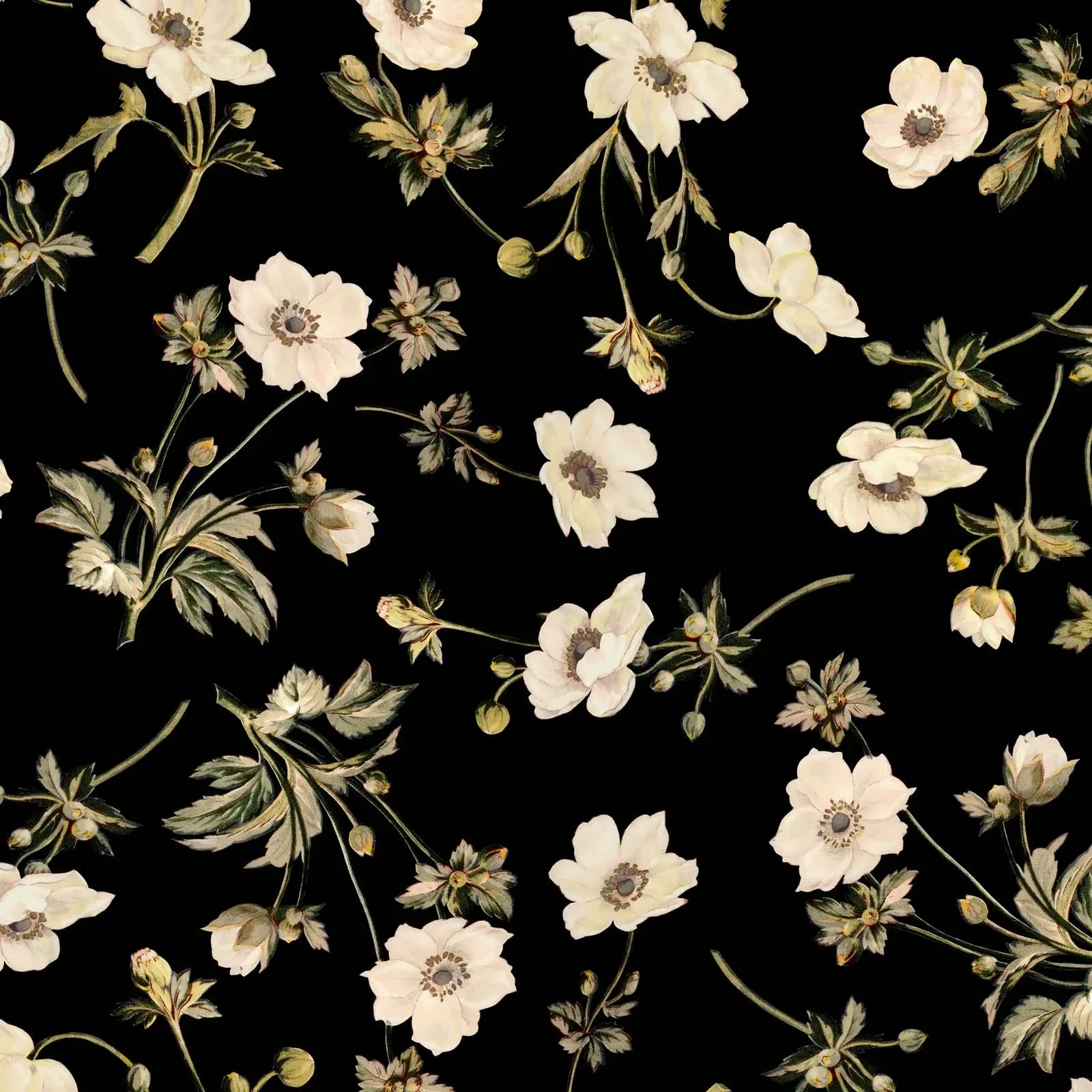 Poppium Wallpaper Sample - Black product