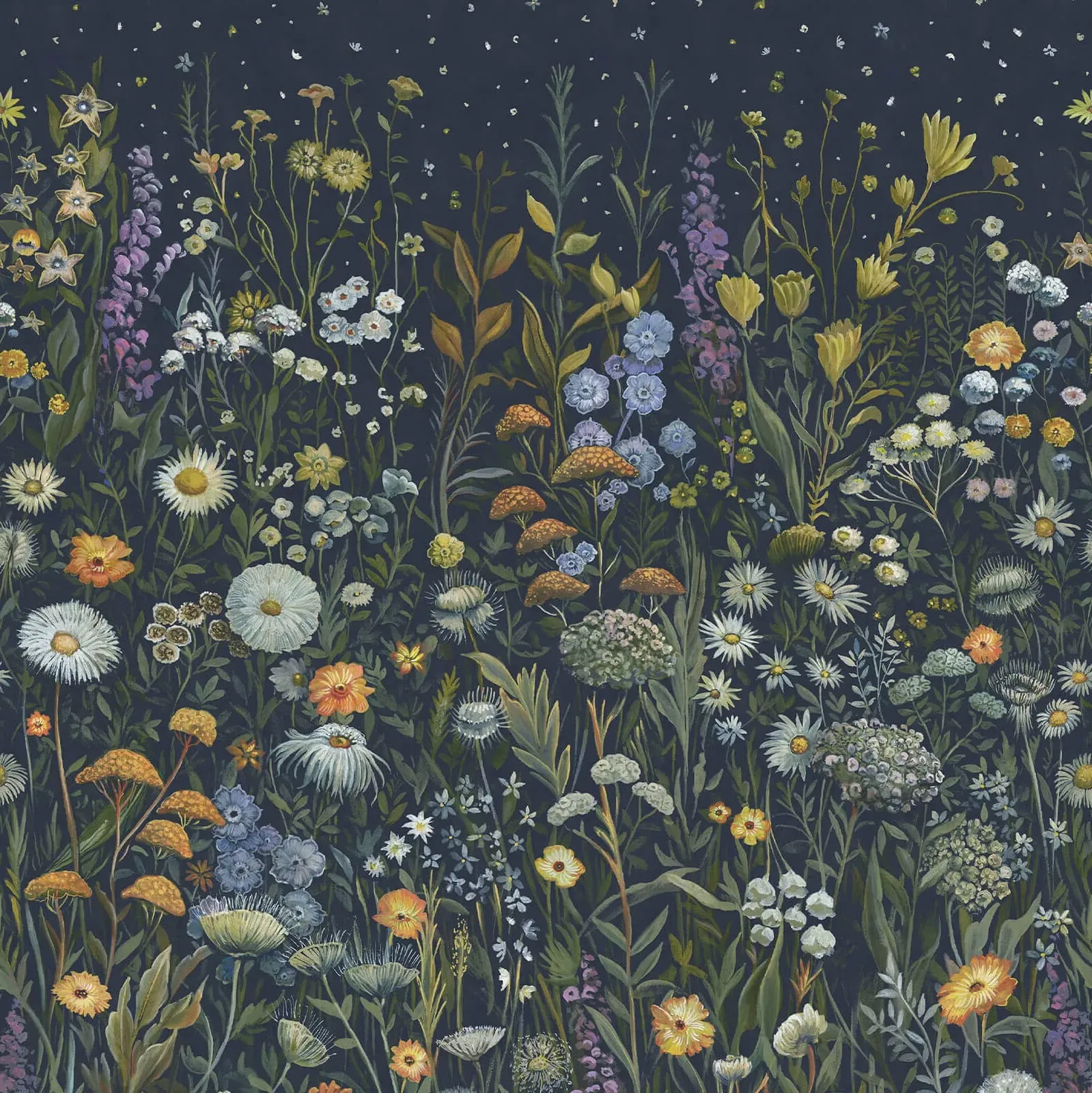 Prataria Sample Wallpaper - Galaxias product