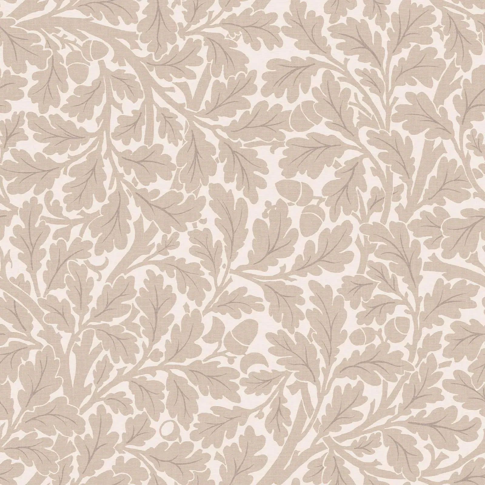 Quercus Wallpaper Sample - Astrantia product
