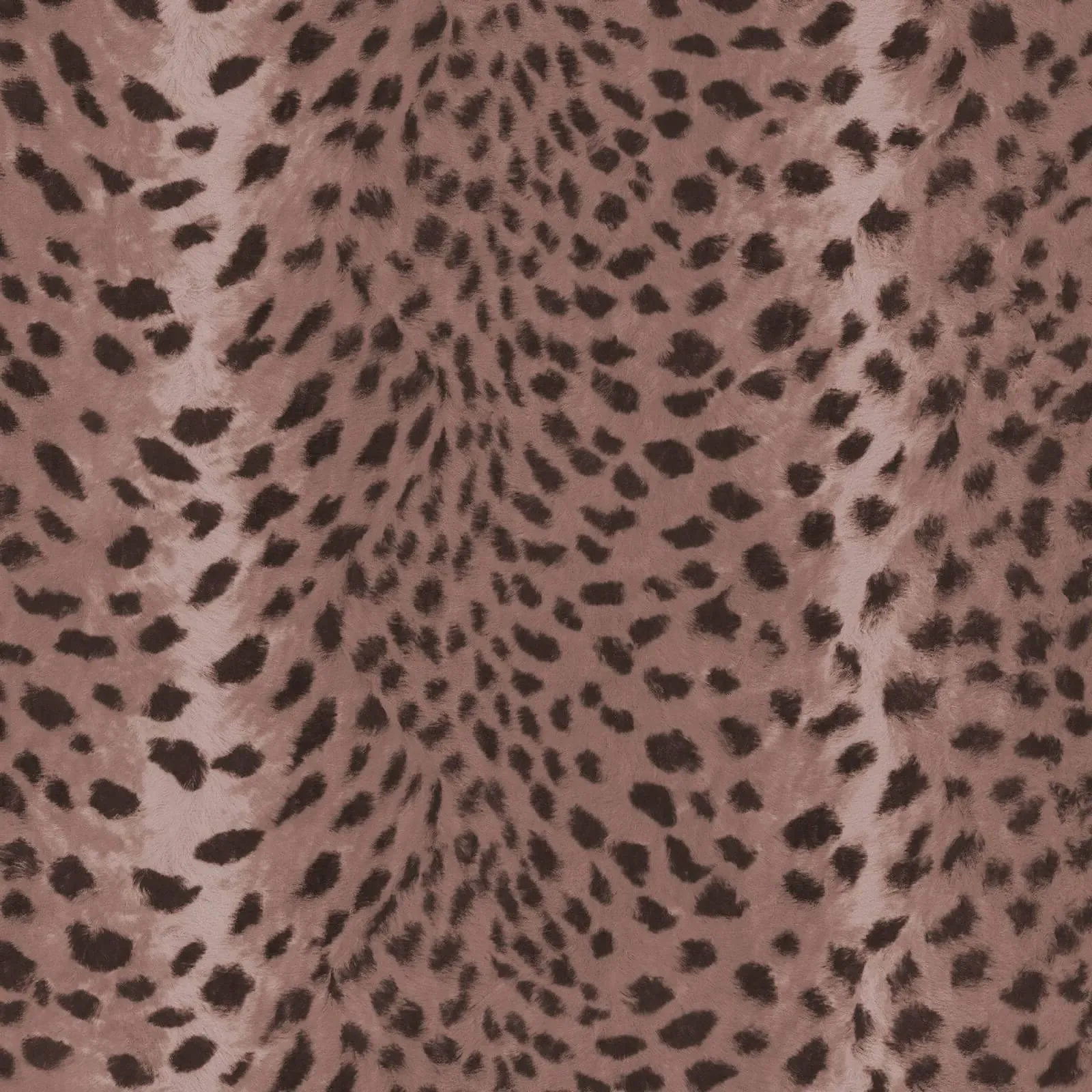 Savanna Wallpaper Sample - Cosmos product