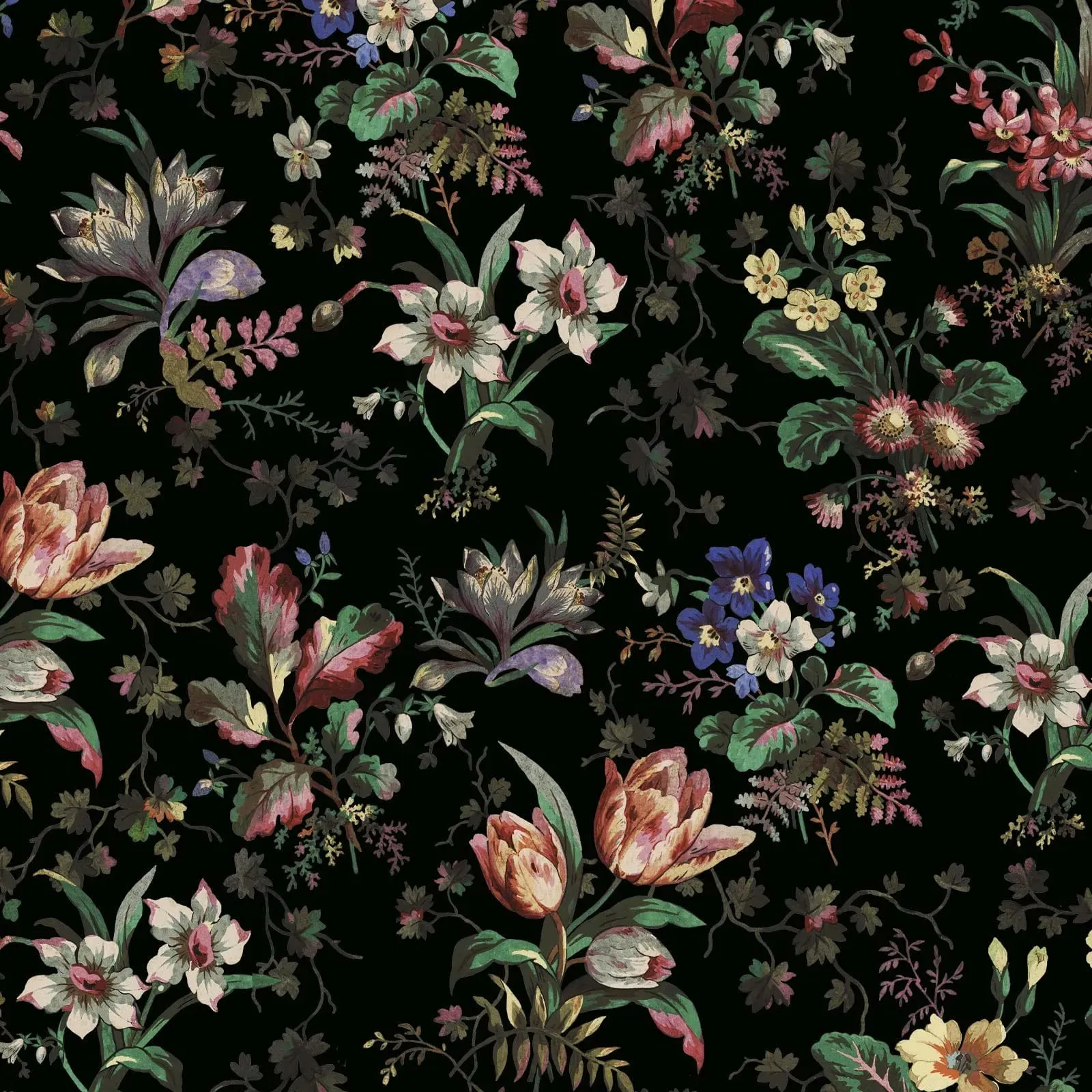 Tulipa Wallpaper Sample - Onyx product