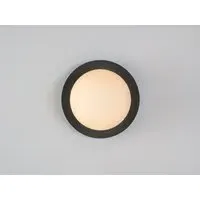 Opal Disk Wall Light - Charcoal Grey, Glass
