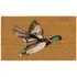 Duck Coir Doormat - 45x75cm