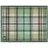 Tartan Washable Doormat - Green