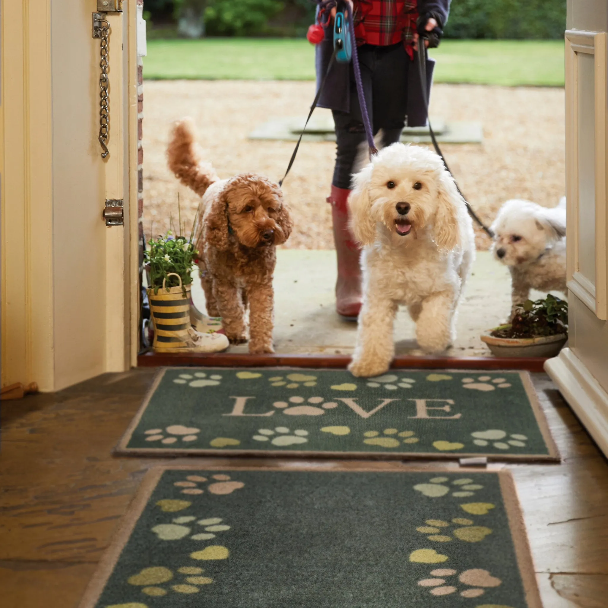 Love Paws Washable Doormat - Green product