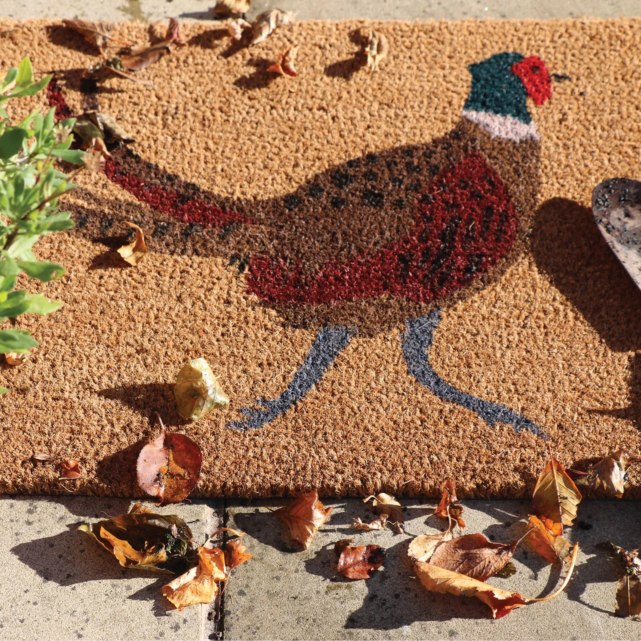 Printed Coir Pheasant Doormat - Green, Natural product