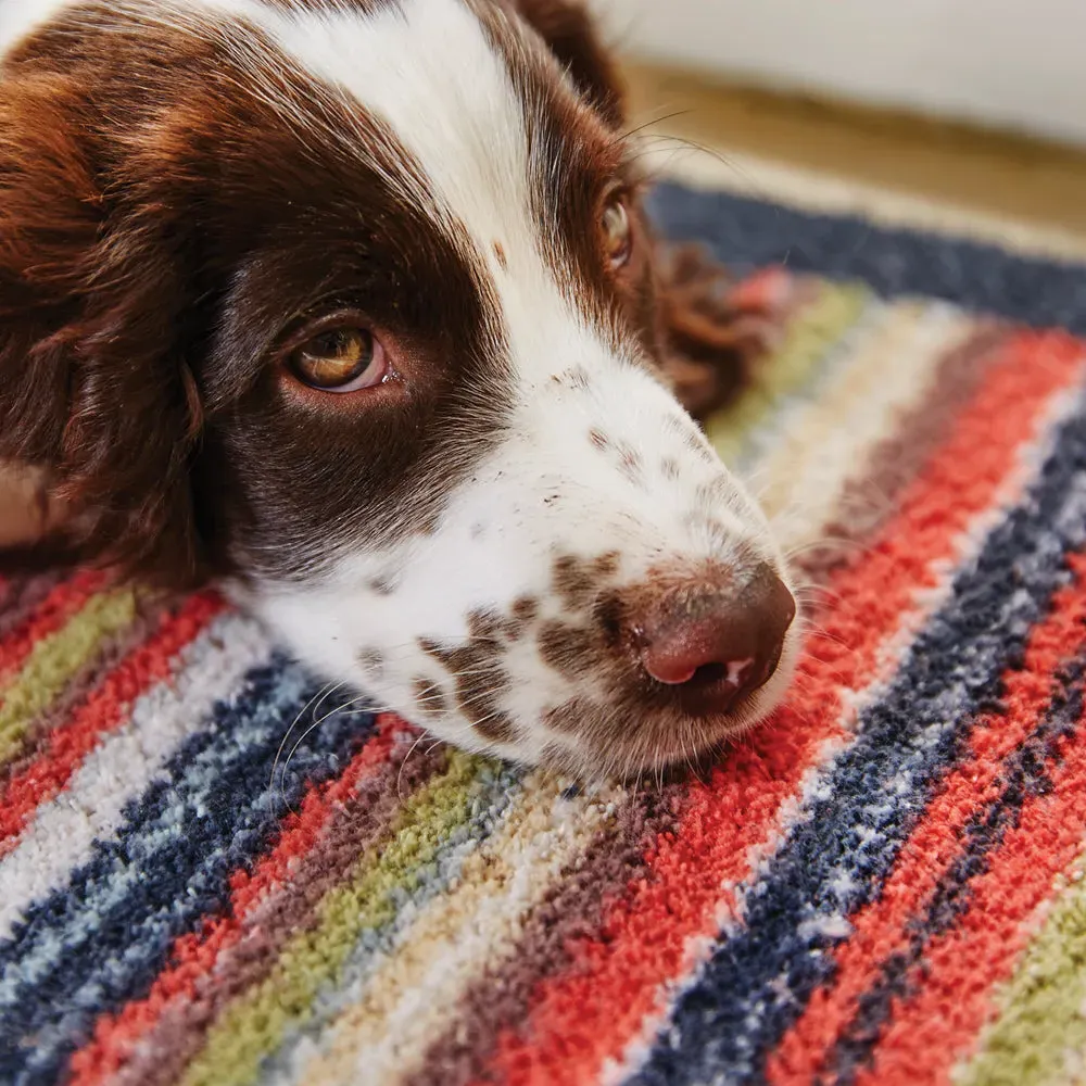 Stripe 32 Multi Washable Doormat product
