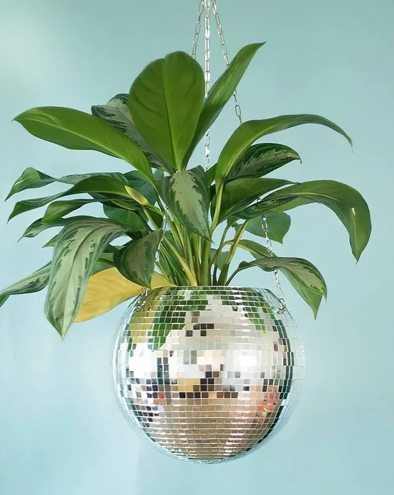 Disco Ball Hanging Herb Planter - Indoor & Outdoor product