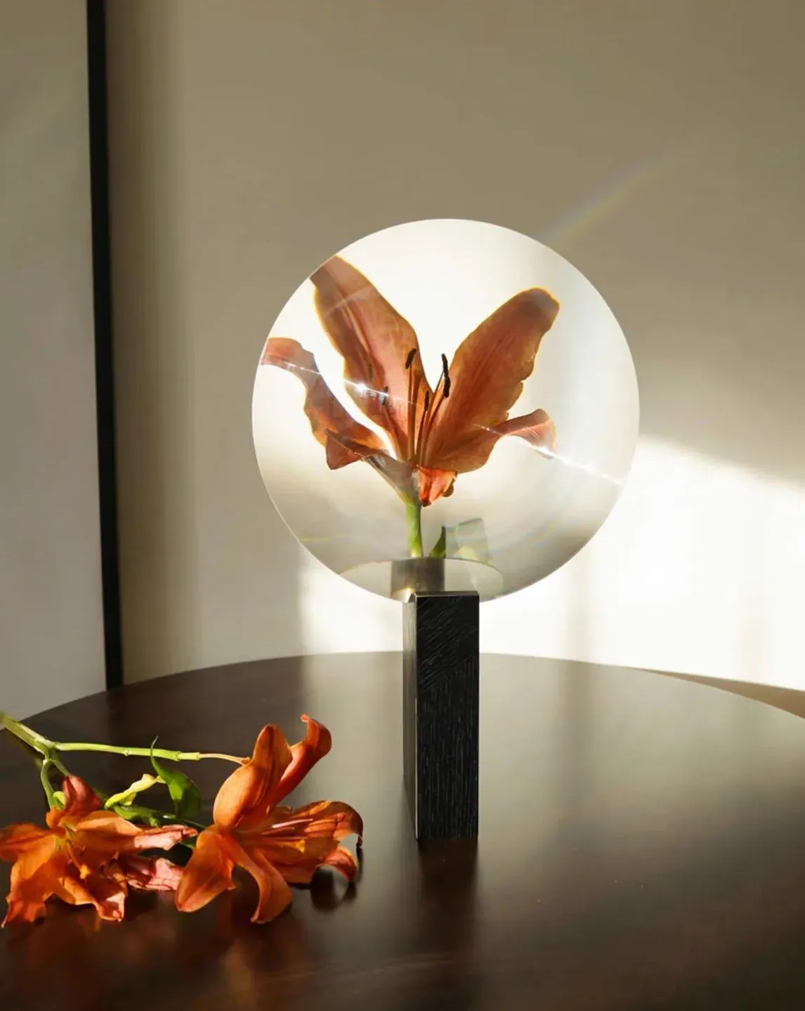 Phantom Decorative Vase - Acrylic, Metal product