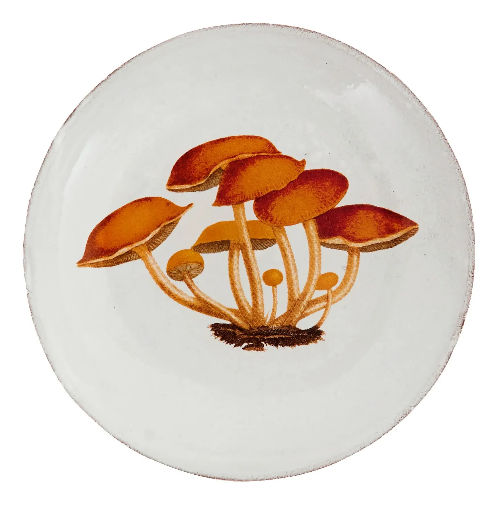 Astier de Villatte Agaric Amer Soup Bowl - White, Terracotta